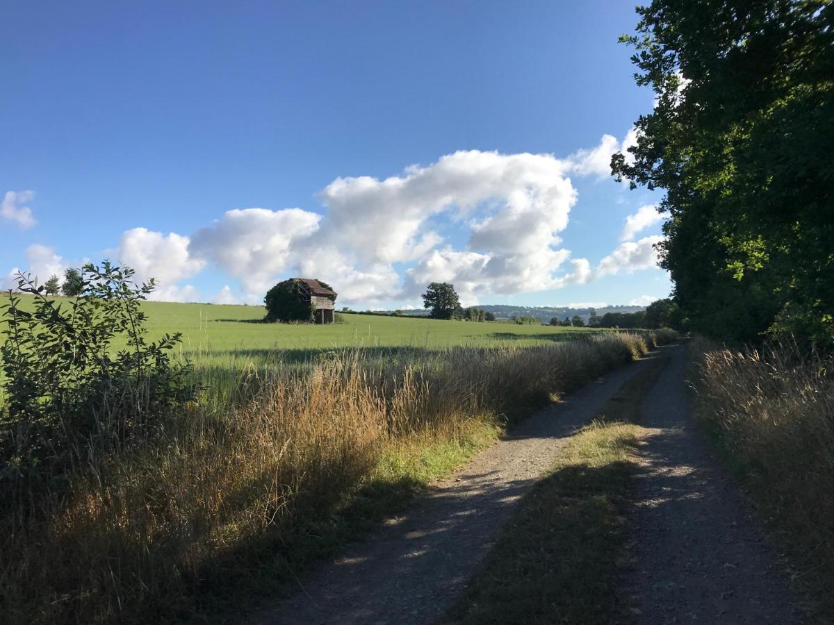 La Paix, Gite Bucolique En Normandie Condé-sur-Noireau Exterior photo